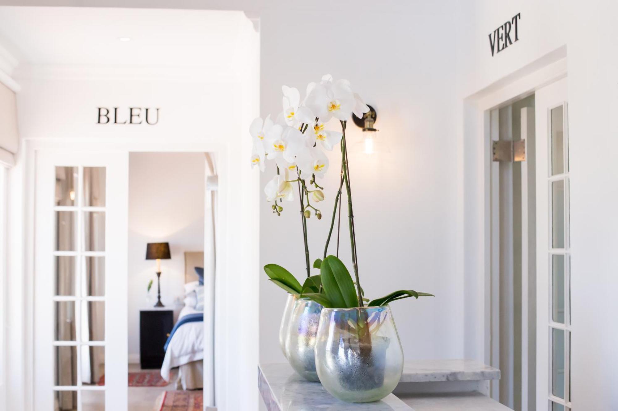 Maison Montagne Franschhoek Zewnętrze zdjęcie